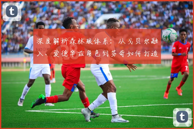深度解析森林狼体系：从戈贝尔融入、爱德华兹角色到芬奇如何打造顶级攻防