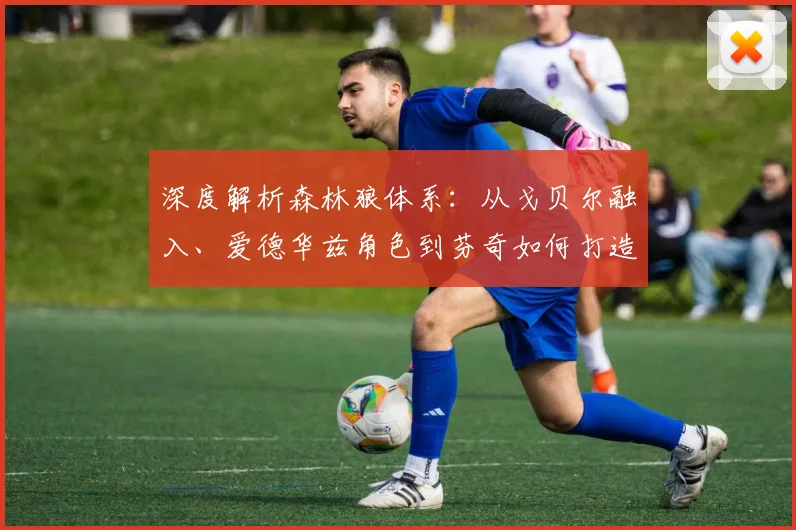 深度解析森林狼体系:从戈贝尔融入、爱德华兹角色到芬奇如何打造顶级攻防